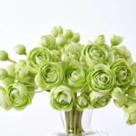 Alternate angle of the Mini Ranunculus Blooms In Modern Water Illusion Arrangement showing bloom arrangement