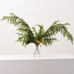 Real Touch Norfolk Pine and Magnolia Leaf in Small Bottle Vase Winter Greenery Holiday Arrangement