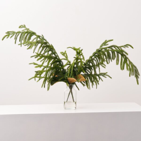 Real Touch Norfolk Pine and Magnolia Leaf in Small Bottle Vase Winter Greenery Holiday Arrangement