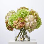 Abundant Blooms - Real Touch Green, Pink and Cream Water Illusion Arrangement - Multicolor