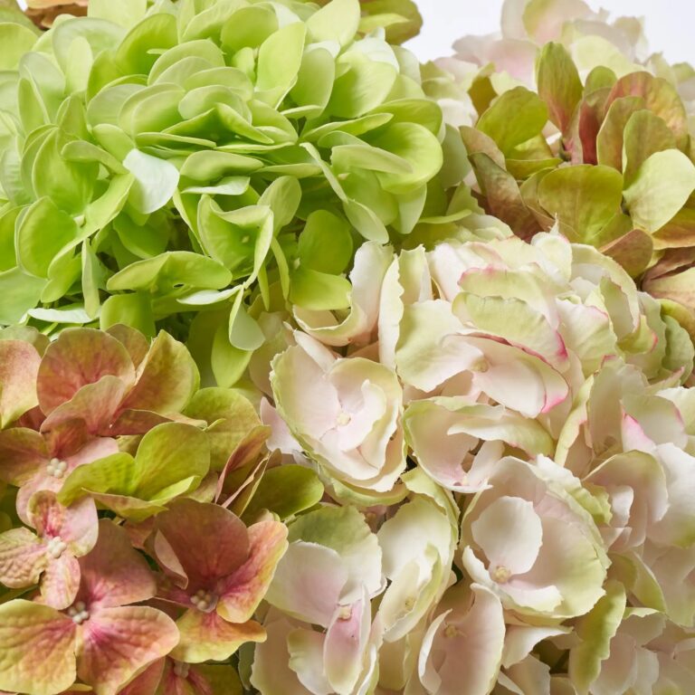 Close-up of vase silhouette detail on this Abundant Blooms - Real Touch Water Illusion Arrangement