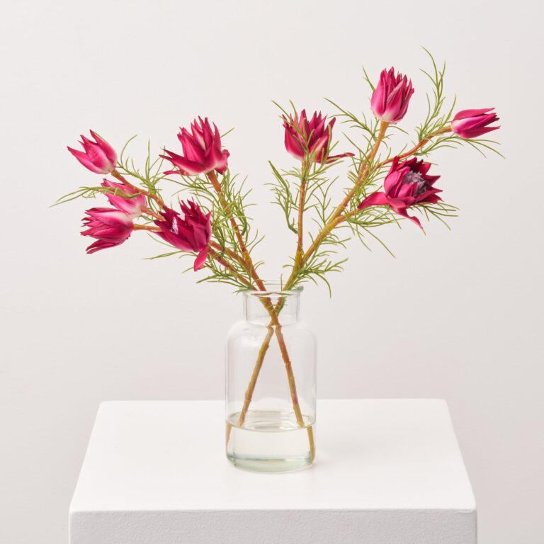 Mini Fuchsia Protea Buds and Blooms in Small Clear Water Illusion Arrangement