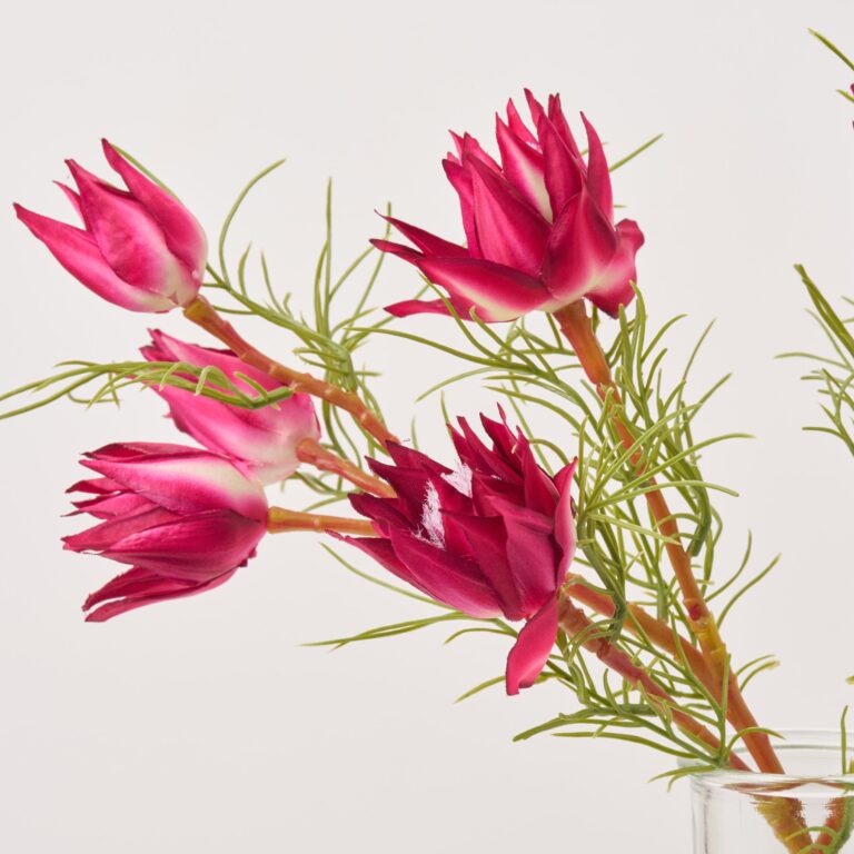 Close-up of vase silhouette detail on this Mini Fuchsia Protea Buds Water Illusion Arrangement