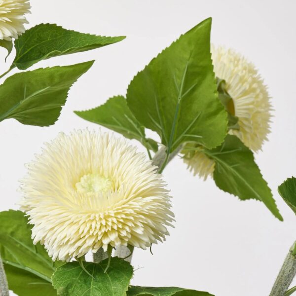 Close-up of vase silhouette detail on this Giant Cream Teddy Bear Sunflowers Water Illusion Arrangement