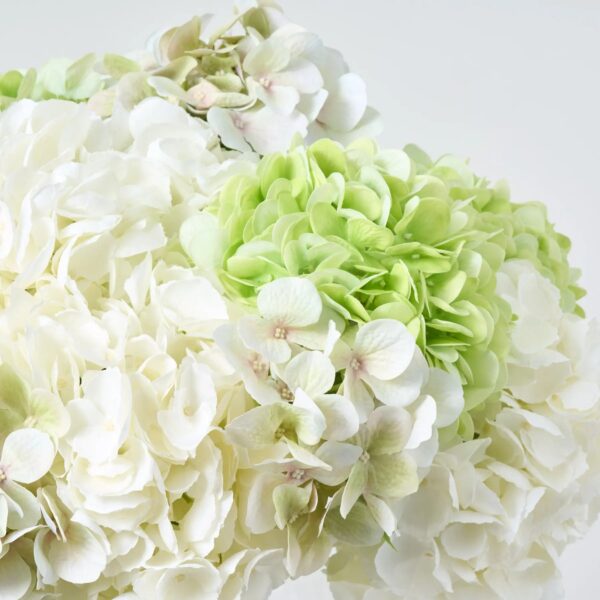 Close-up of vase silhouette detail on this Mixed Green and Cream Summer Water Illusion Arrangement