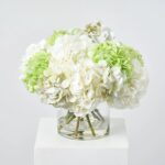 Mixed Green and Cream Summer Hydrangea Blooms Everyday Spring Water Illusion Arrangement - Green and