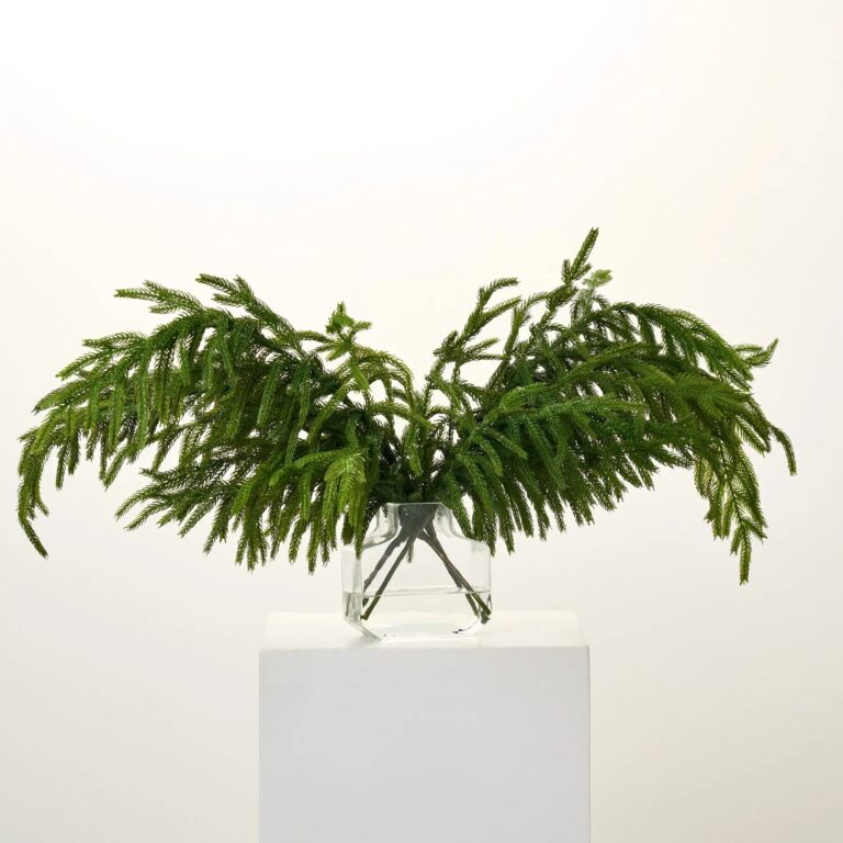 Real Touch Norfolk Draped Stems in Modern Factice Vase Winter Water Illusion Arrangement
