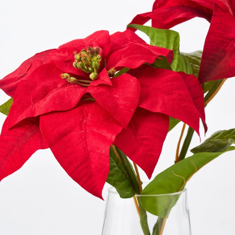 Close-up of vase silhouette detail on this Lifelike Christmas Red Velvet Poinsettia Water Illusion Arrangement
