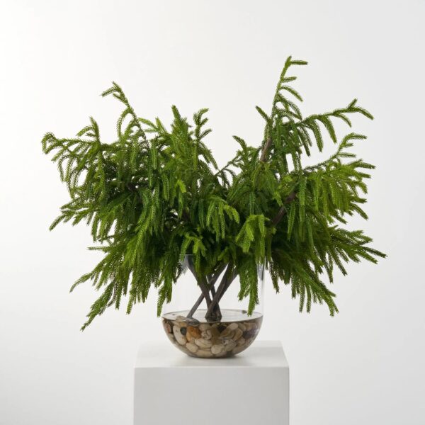 Real Touch Large Draped Norfolk Branches in X Water Illusion Arrangement