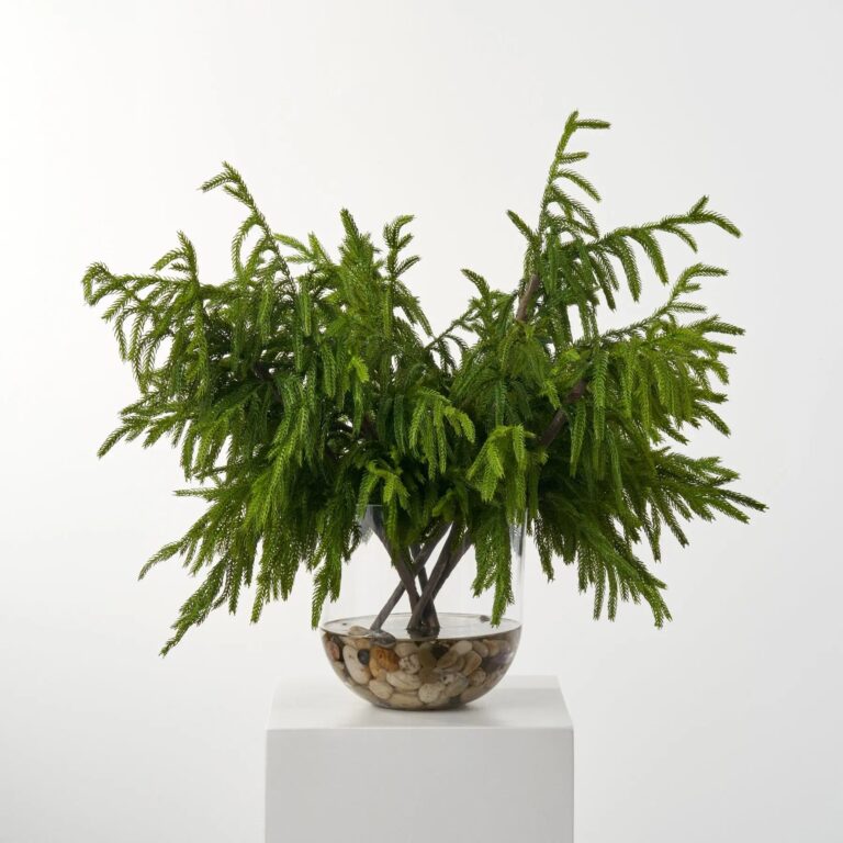 Real Touch Large Draped Norfolk Branches in X Water Illusion Arrangement
