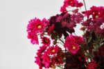 Alternate angle of the Wild at Heart - Burgundy Water Illusion Arrangement showing bloom arrangement