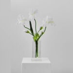 Large Lifelike White Iris Blooms in Crystal Glass Block Vase All Season Water Illusion Arrangement