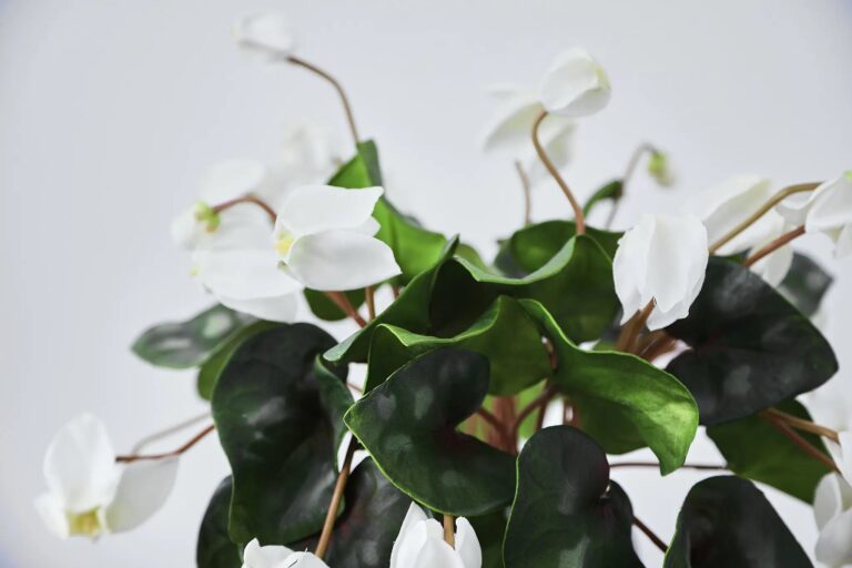 Close-up of vase silhouette detail on this Lifelike White Cyclamen Blooms Illusion Floral Arrangement