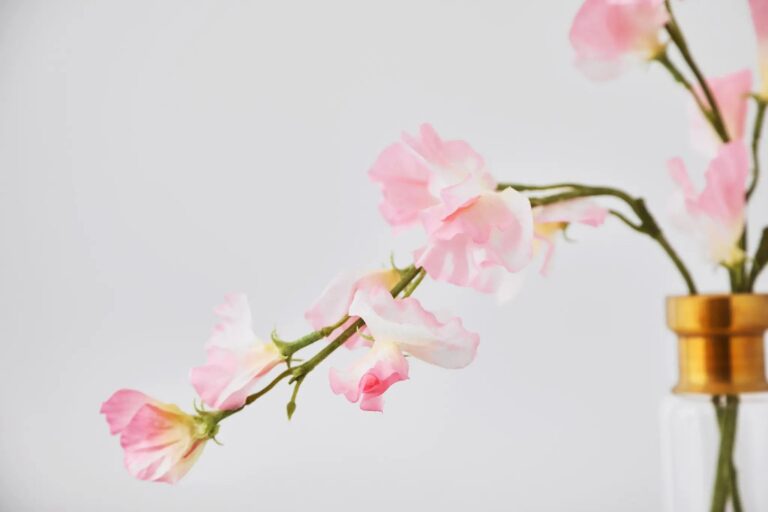 Close-up of vase silhouette detail on this Light Pink Realistic Sweet Pea Water Illusion Arrangement