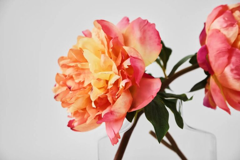 Close-up of vase silhouette detail on this Peony Sunrise - Coral Orange Water Illusion Arrangement