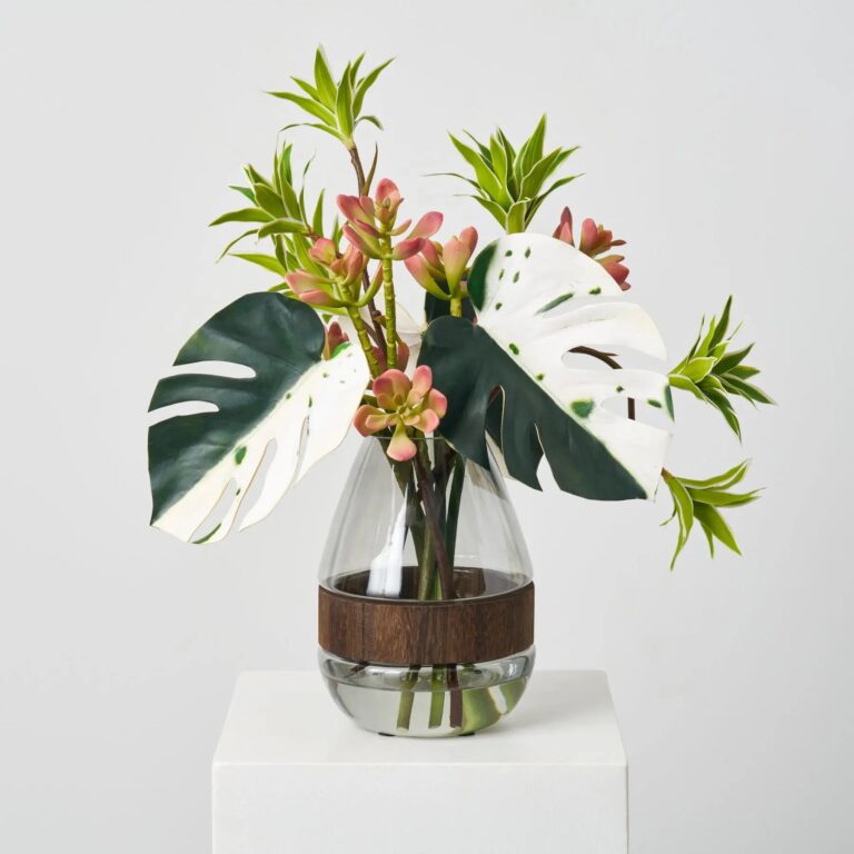Tropical Muse - Green Albino Monstera Leaf, Dracaena Illusion Centerpiece Arrangement