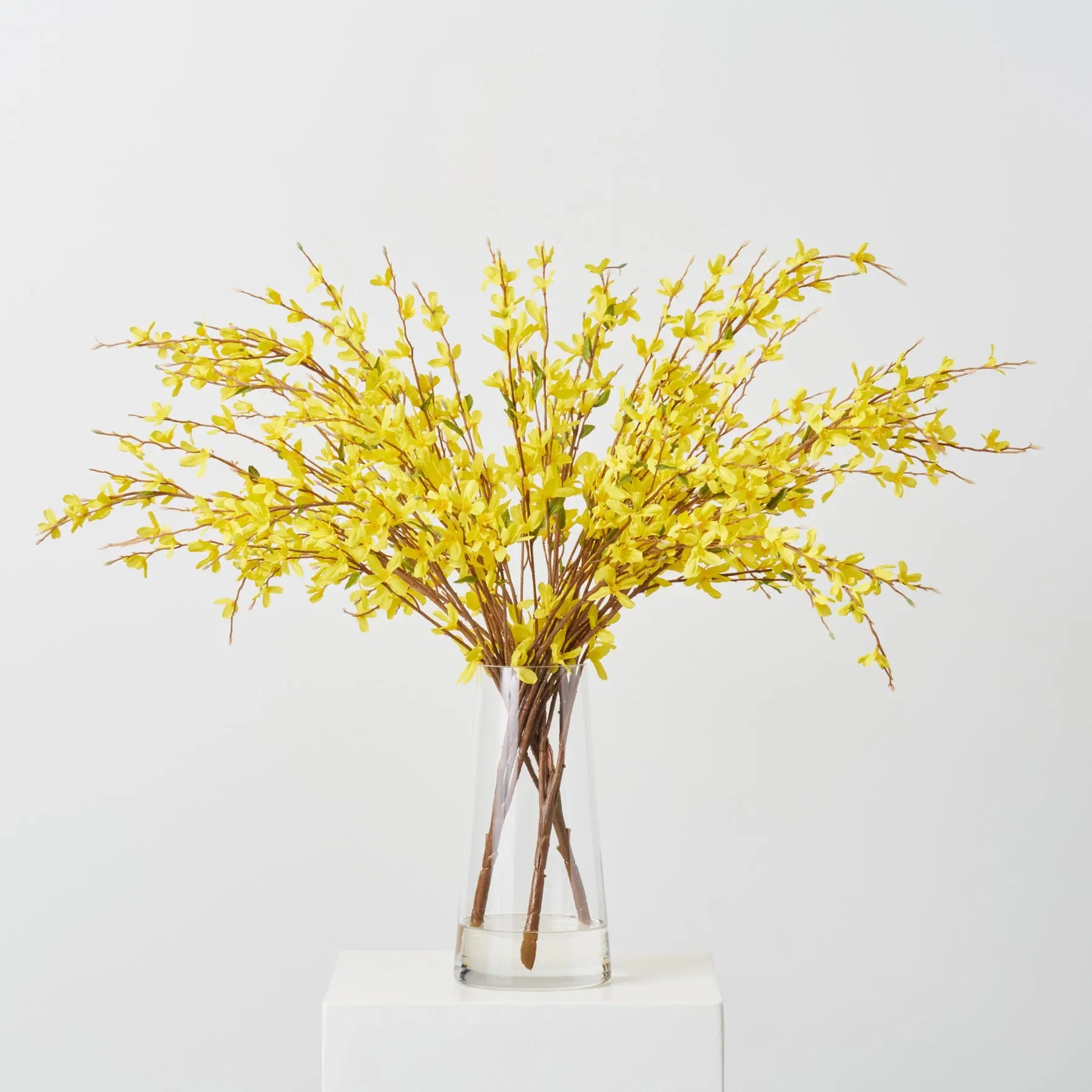 FAR1545LifelikeYellowForsythiaBranchesinTaperedCylinderVaseEverydayCenterpieceWaterIllusionArrang_1.jpg Lifelike Yellow Forsythia Branches in Tapered Cylinder Vase Everyday Centerpiece Water Illusion Arrangement