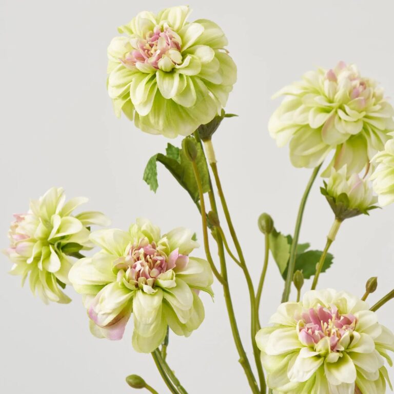 Close-up of vase silhouette detail on this Lifelike Pale Green Mini Dahlia Water Illusion Arrangement