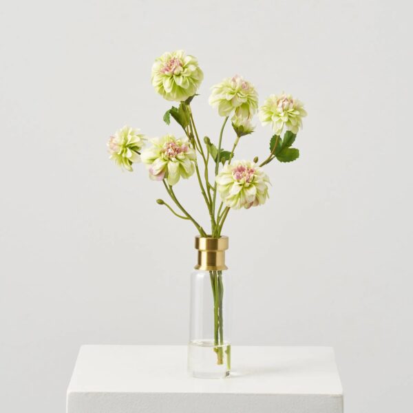 Lifelike Pale Green Mini Dahlia Blooms in Tall Gold Water Illusion Arrangement