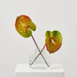 Real Touch Tropical Anthurium Stem in Factice Vase Summer Water Illusion Arrangement