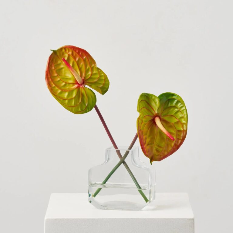 Real Touch Tropical Anthurium Stem in Factice Vase Summer Water Illusion Arrangement