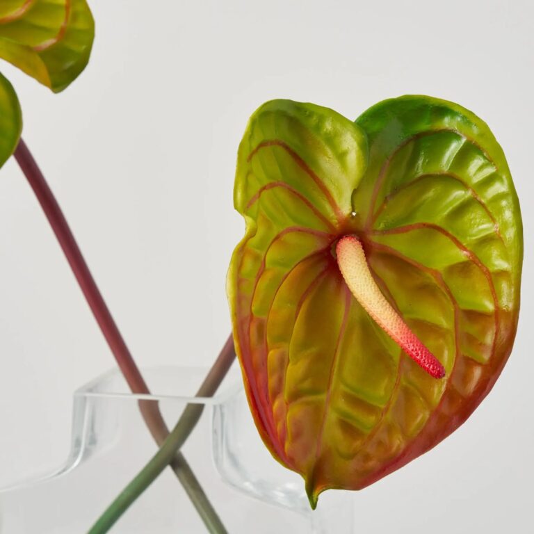 Close-up of bloom tips on this Real Touch Tropical Anthurium Stem Water Illusion Arrangement