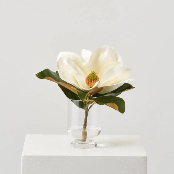 Real Touch Large Magnolia Bloom in Small Round Footed Water Illusion Arrangement
