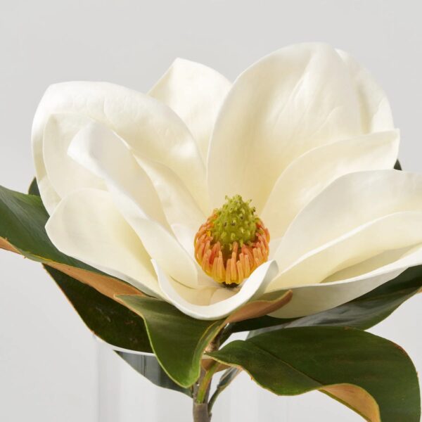 Close-up of bloom tips on this Real Touch Large Magnolia Bloom Water Illusion Arrangement