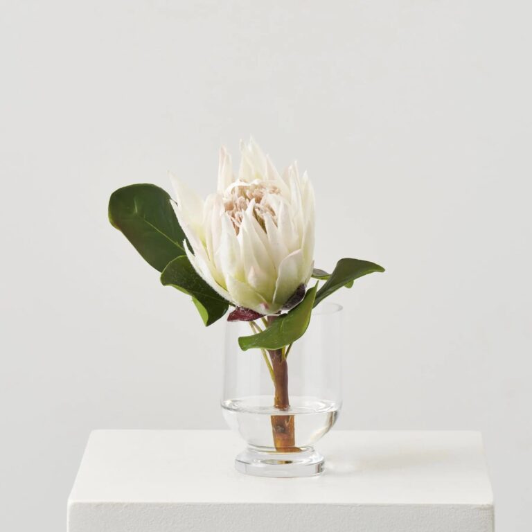 Lifelike Large White King Protea Bloom Single Stem in Small Vase Everyday Water Illusion Arrangement