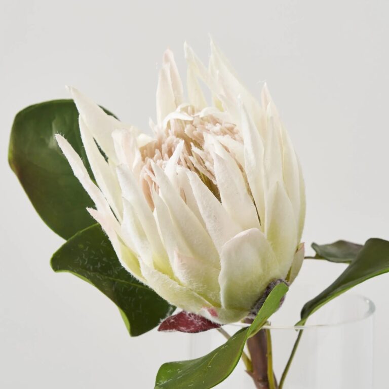 Close-up of bloom tips on this Lifelike Large White King Protea Water Illusion Arrangement