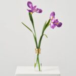 Lifelike Purple Iris Bloom Stems in Tall Gold Rim Water Illusion Arrangement