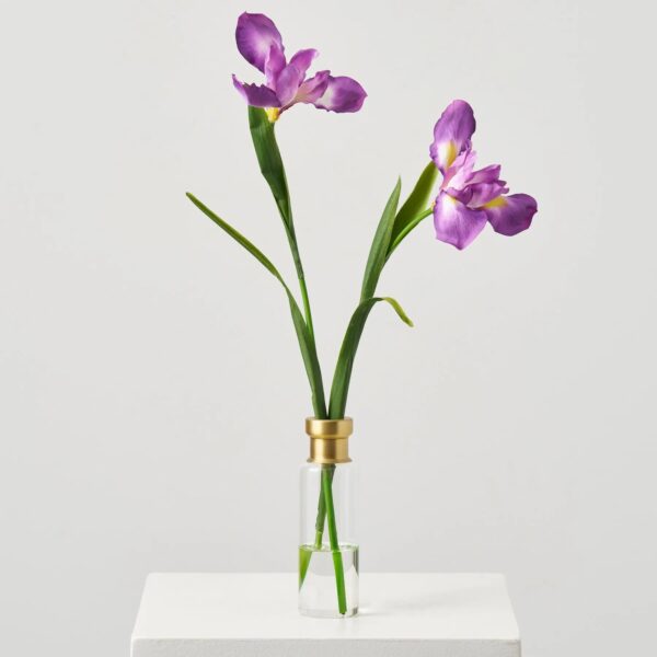 Lifelike Purple Iris Bloom Stems in Tall Gold Rim Water Illusion Arrangement