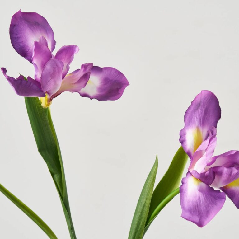 Close-up of bloom tips on this Lifelike Purple Iris Bloom Stems Water Illusion Arrangement