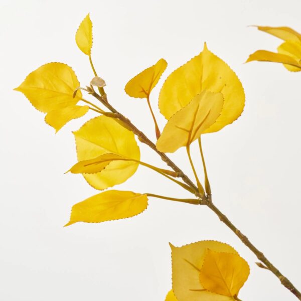Close-up of vase silhouette detail on this Yellow Aspen Leaf Branch Water Illusion Arrangement