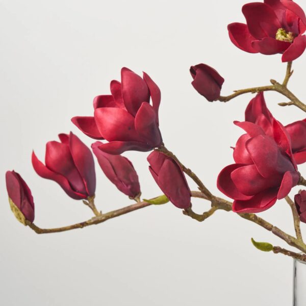 Close-up of vase silhouette detail on this Burgundy Red Blooming Magnolia Branches Water Illusion Arrangement