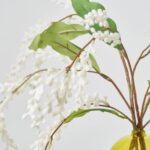Close-up of vase silhouette detail on this Fuzzy White Mimosa Branch Water Illusion Arrangement