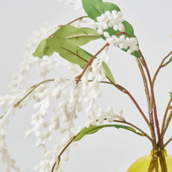 Close-up of vase silhouette detail on this Fuzzy White Mimosa Branch Water Illusion Arrangement