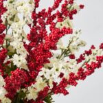 Close-up of vase silhouette detail on this Cream Larkspur Flower and Red Water Illusion Arrangement