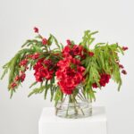 Holiday Joy - Lifelike Red Hydrangea, Real Touch Norfolk Water Illusion Arrangement - Red and