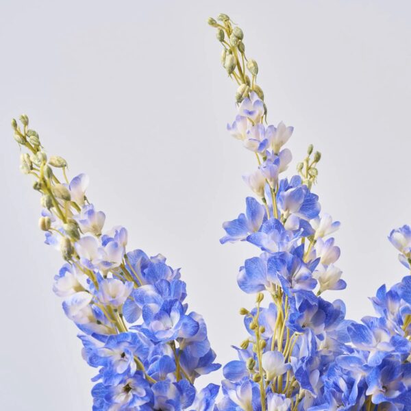 Close-up of vase silhouette detail on this Large Blue Delphinium Flowering Blooms Water Illusion Arrangement