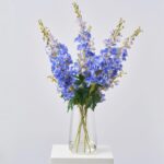 Large Blue Delphinium Flowering Blooms in Tall Teardrop Vase Spring Summer Water Illusion Arrangement Centerpiece