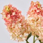 Alternate angle of the Large Rose Blush Peegee Cone Spring Summer Arrangement showing bloom arrangement