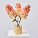 Large Rose Blush Peegee Cone Shape Hydrangea Blooms Spring Summer Arrangement Centerpiece