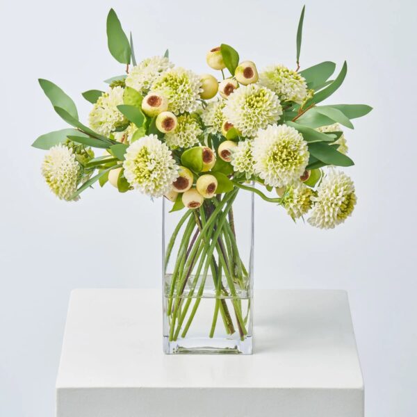 Cream Green Pompon Dahlia, Crater Berry and Seeded Eucalyptus Water Illusion Arrangement - Cream Green