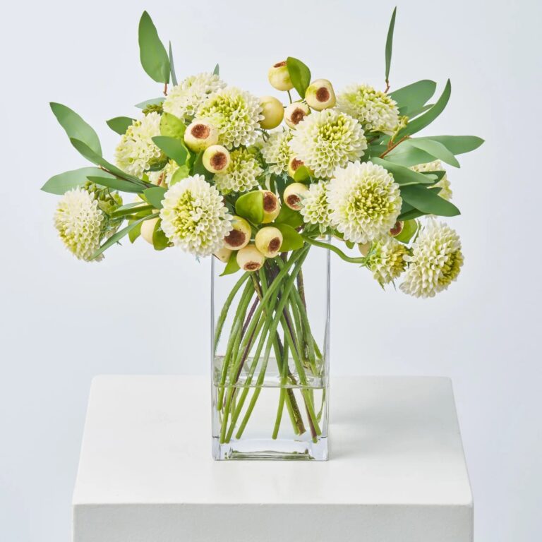 Cream Green Pompon Dahlia, Crater Berry and Seeded Eucalyptus Water Illusion Arrangement - Cream Green