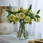 Alternate angle of the Cream Green Pompon Dahlia, Crater Water Illusion Arrangement showing bloom arrangement