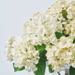 Close-up of vase silhouette detail on this Lifelike White and Soft Green Large Urn Vase
