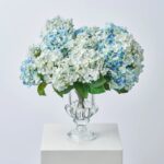 Lifelike Mixed Light and Bright Blue Hydrangea Blooms Water Large Urn Vase