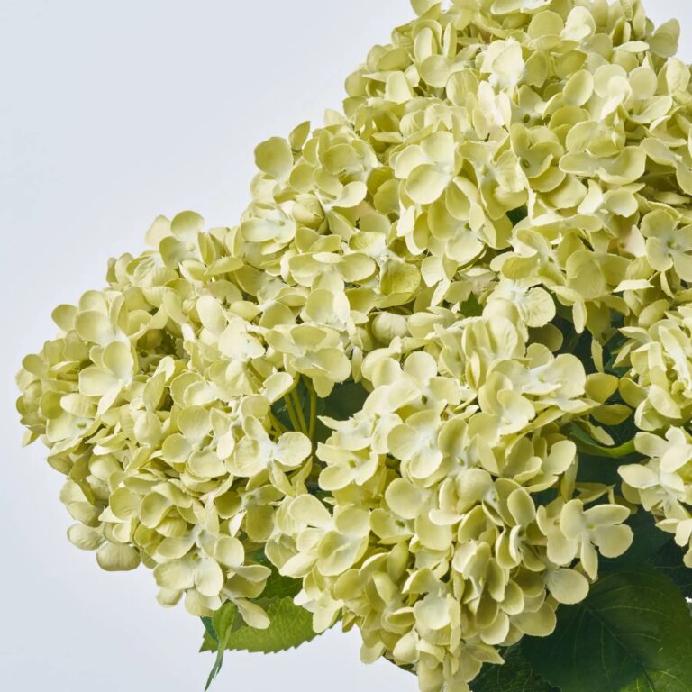 Close-up of vase silhouette detail on this Lifelike Limelight Green Hydrangea Blooms Large Urn Vase