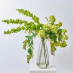 Chlorophyll Cantilever - Bells of Ireland, Snowball Blooms Large Table Arrangement Water Illusion